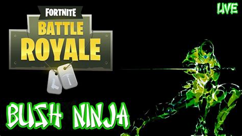 FORTNITE BUSH NINJA DUO SQUAD BATTLE ROYALE PS4 YouTube