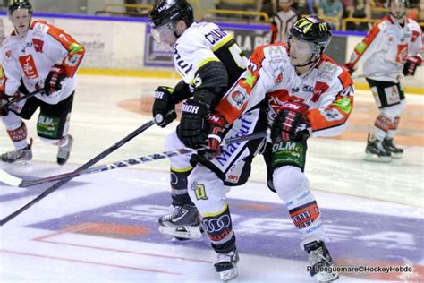 Hockey Sur Glace Ligue Magnus Ligue Magnus Rouen Les Dragons