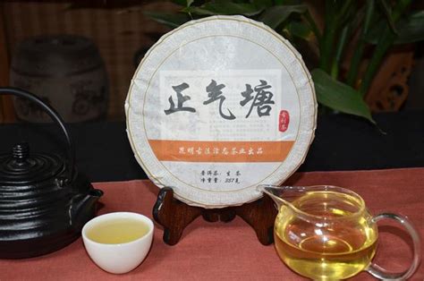 茶人夏葉：淺說正氣塘古樹茶的沖泡與口感 每日頭條