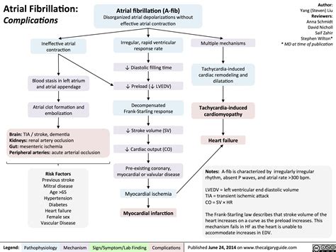 Atrial Fibrillation Complications Calgary Guide