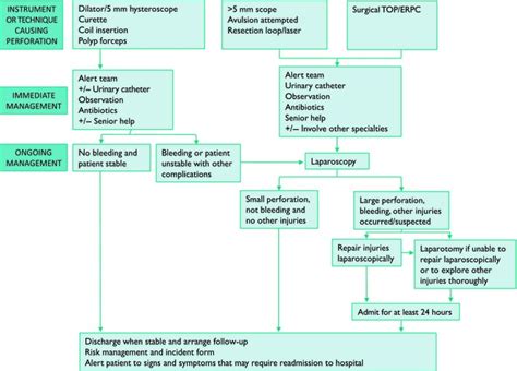 Proposed management protocol for uterine perforation | Download ...