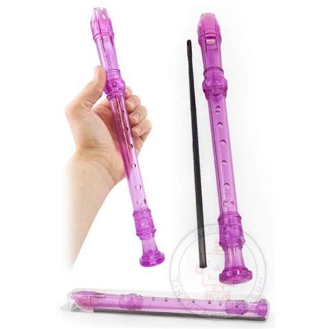 Music Recorder : Purple Premium Musical Flute : Clear Plastic : Classic ...