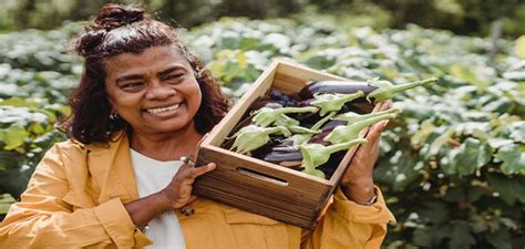 Organic farming techniques for beginners - The Organic Mine