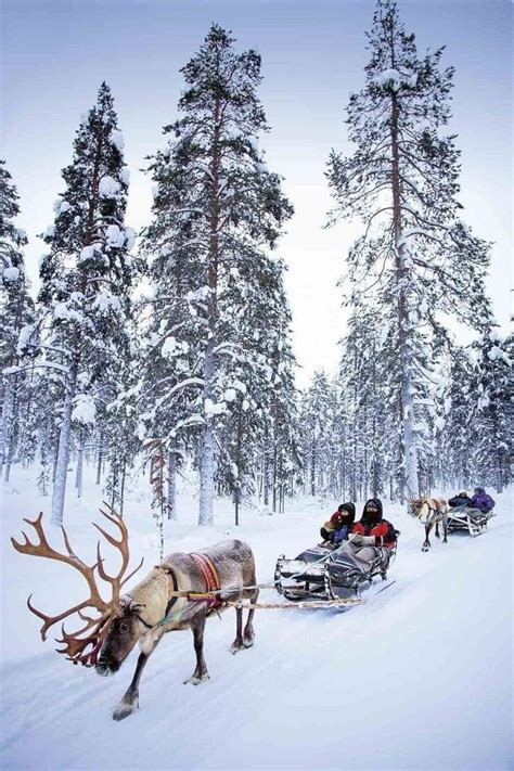 Laponia Laponia Finlandia Paisajes De Invierno Viajar A Finlandia