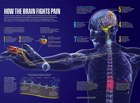 National Geographic Pain Magazine