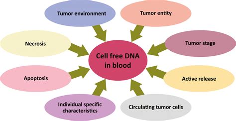 Detection And Characterization Of Circulating Cell Free Tumor Dna In