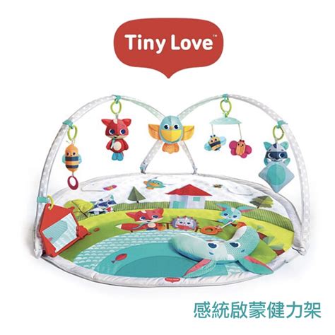 【樂森藥局】美國 Tiny Love 感統啟蒙健力架 健力架 快樂草原 蝦皮購物