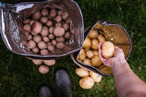 Zembag Biostore Pytle Na Skladov N Brambor