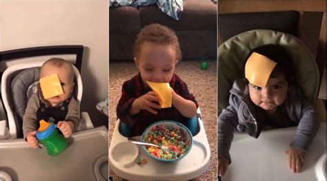 The latest viral ‘cheesed challenge’ requires people to throw cheese ...