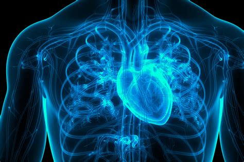 Atrial Fibrillation Types Triggers Symptoms Disparities And Treatment