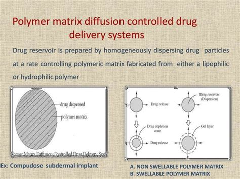 Ndds 6 Implantable Drug Delivery System Ppt