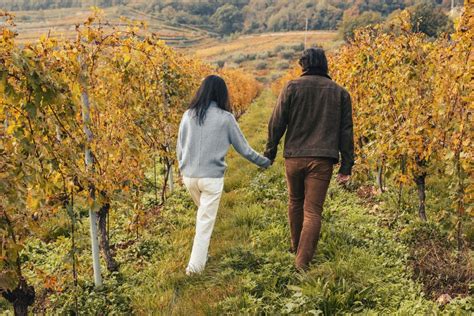 Vineyard Wedding Proposal In Valpolicella Romeo And Juliet Guide Verona