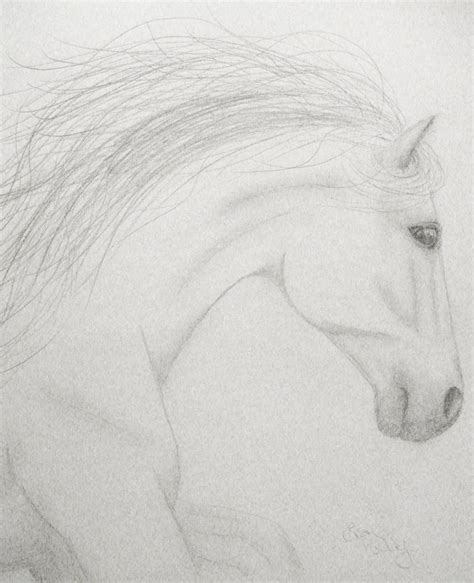 pencil sketch - horse art | Horse sketch, Horse art, Sketches