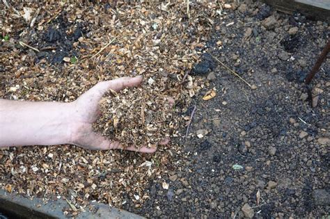 Mano De Los Hombres Sujeta Chatarra De Madera Para El Embudo En El