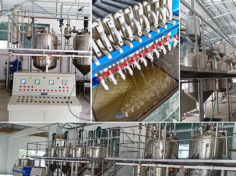 2tpd Batch Type Edible Oil Refinery Plant Project In China Palm Oil