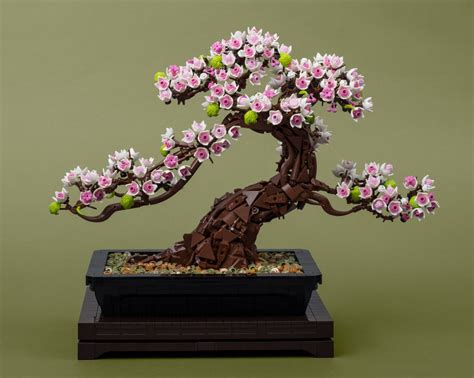 Sakura Bonsai Hi Everybody Its Been A While After Flickr