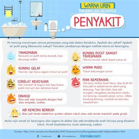 Perhatikan Warna Kencingmu untuk Mengetahui Kesehatan Tubuh