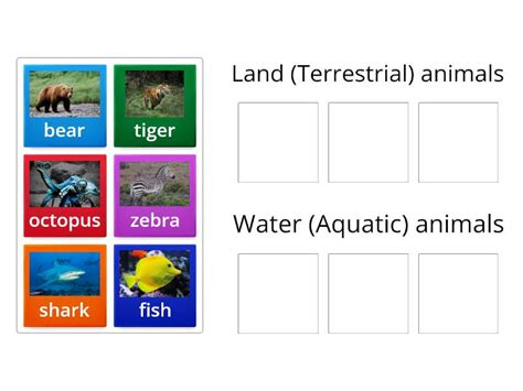 classification  animals    habitat land water