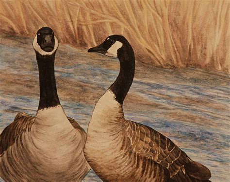 Canadian Geese Painting By Michelle Miron Rebbe Fine Art America