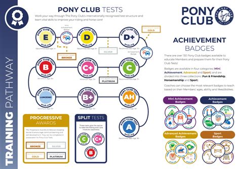 Pony Club Tests and Badges - Old Surrey & Burstow Hunt