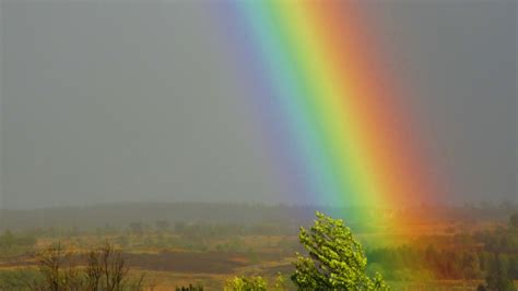 Couleurs De Arc En Ciel Minotauromaquia