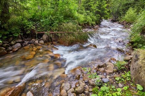 Premium Photo River Deep In Mountain Forest