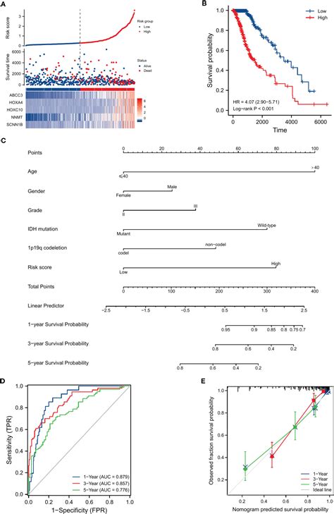 Frontiers Identification Of Heterogeneous Subtypes And A Prognostic