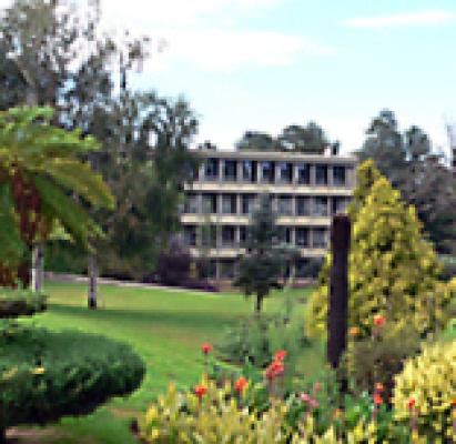 ermelo town tourist information