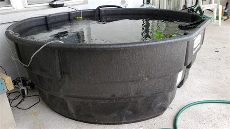 300 Gallon Rubbermaid Stock Tank Fish Pond - Best Decorations