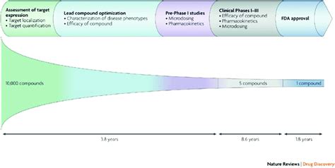 Drug Development Process The Drug Development Process Begins With