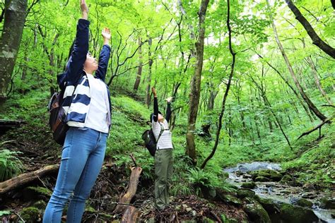 ゆっくりじっくり 作並・定義リトリート 【公式】仙台観光情報サイト せんだい旅日和