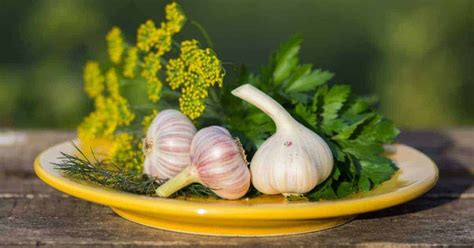 How to Store Garlic in 3 Simple Ways