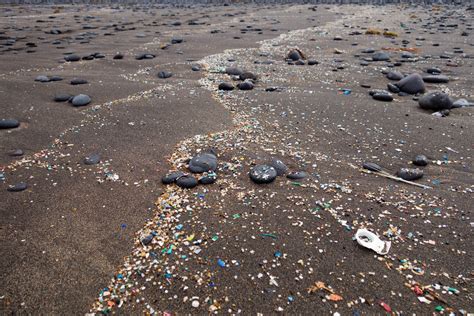 Microplastics Pollution Is Everywhere Is It Harmful Scientific American