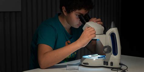 Comment Choisir Un Microscope Junior Microbiology