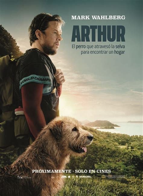 Cartel de la película Arthur Foto 18 por un total de 19 SensaCine