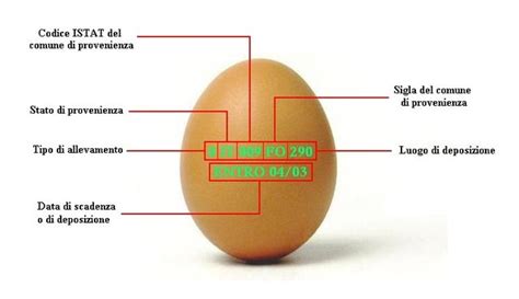 Come capire se un uovo è ancora fresco Agrodolce