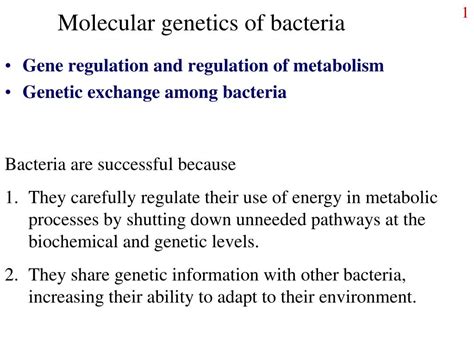 Ppt Molecular Genetics Of Bacteria Powerpoint Presentation Free