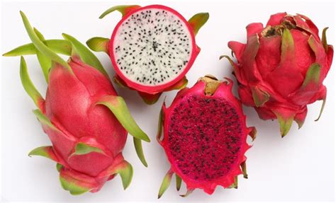 Mudas De Pitaya Roxa Mercadolivre