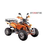 Atv Shineray Cc Xy Stxe