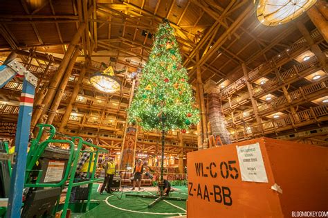 Detailed Look At Wilderness Lodge Christmas Tree Installation