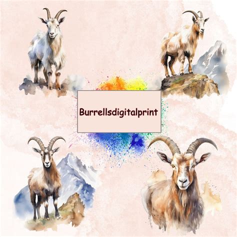 Alpine Goat Clipart Bundle, Digital Scrapbooking Elements, Animal ...