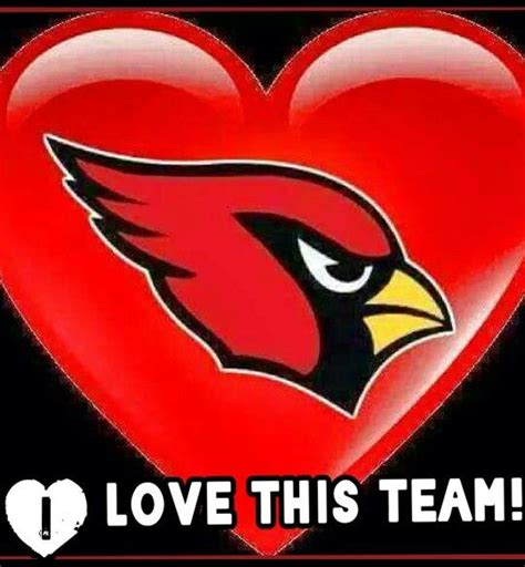 Pin By Mj Cooper On Az Cardinals Arizona Cardinals Arizona