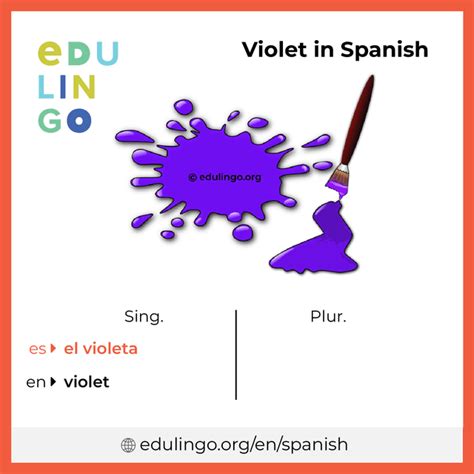 Violet in Spanish • Writing and pronunciation (with pictures)