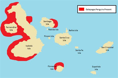 ultimate galapagos islands wildlife guide
