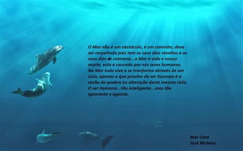 Frases Sobre El Mar