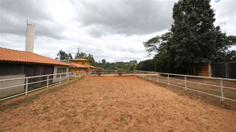 Haras De Alqueires Venda Em Boituva Sp Viva Rural Im Veis