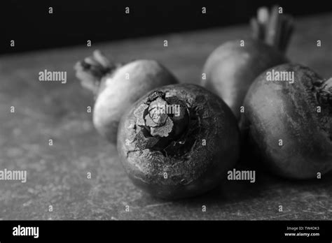 young beetroot plant black  white stock  images alamy