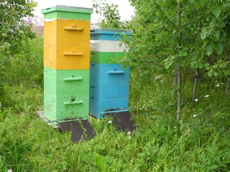 Улей лежак. Пчеловодство. Ульи для пчел, рамки, нуклеус купить в Москве ...