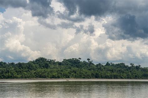 Amazon River in Rainy Season, South America. Stock Photo - Image of ...