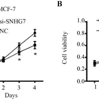 Effect Of Snhg On The Proliferation Of Breast Cancer Cells A The